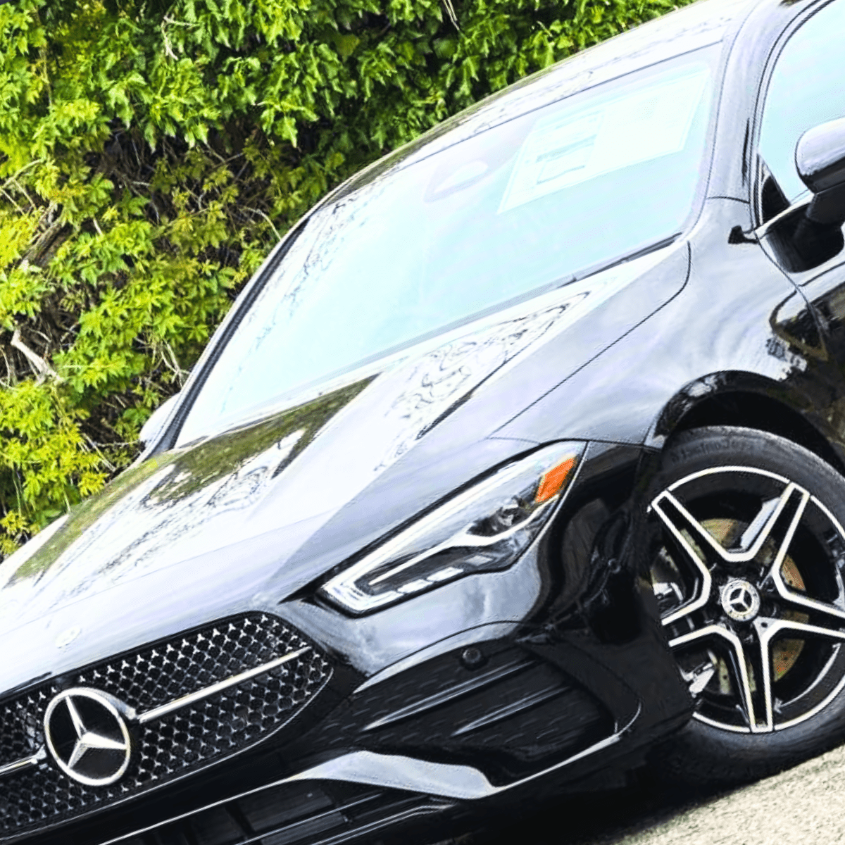 Mercedes Walnut Creek Best of Mercedes-Benz
