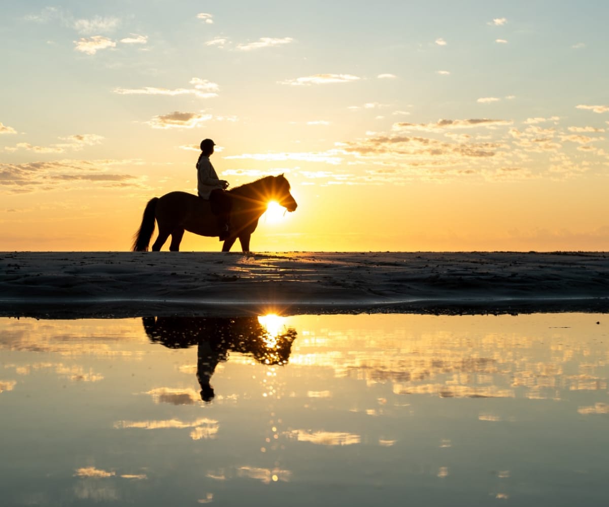 Horse riding