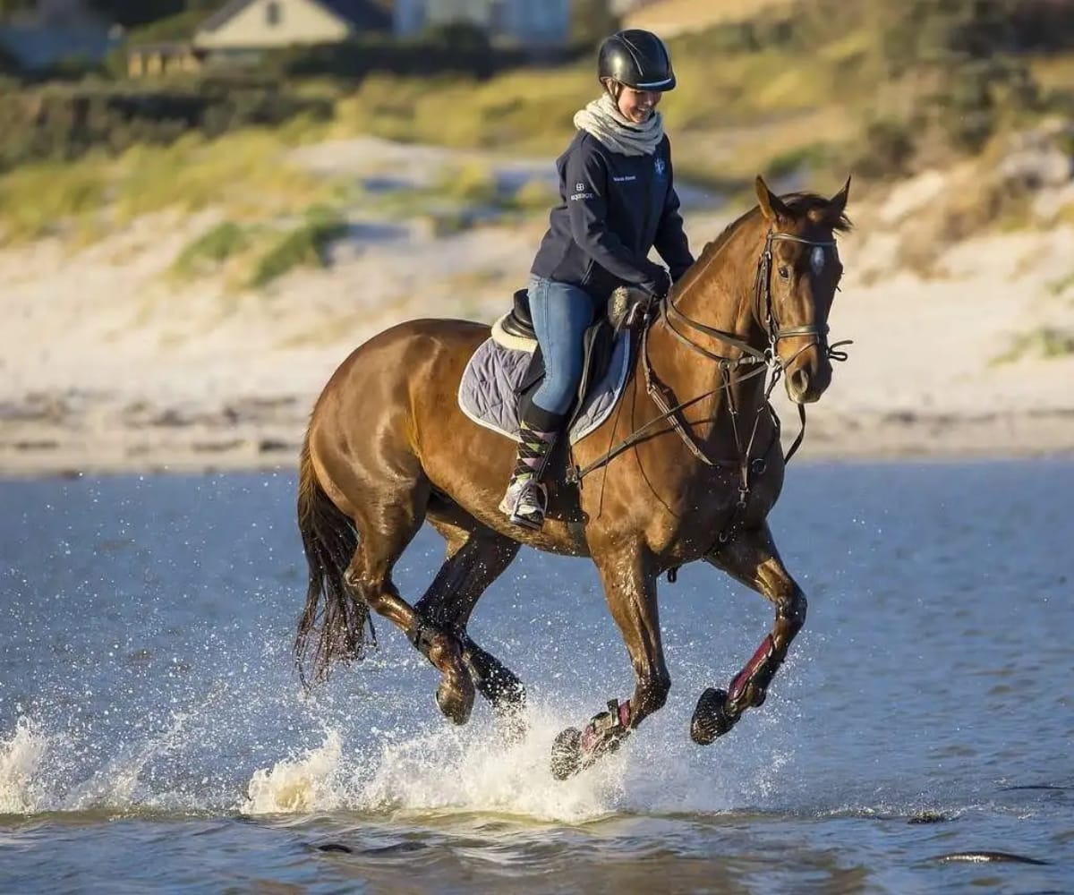 Horse riding