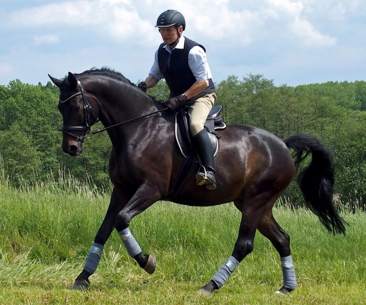 Horse riding