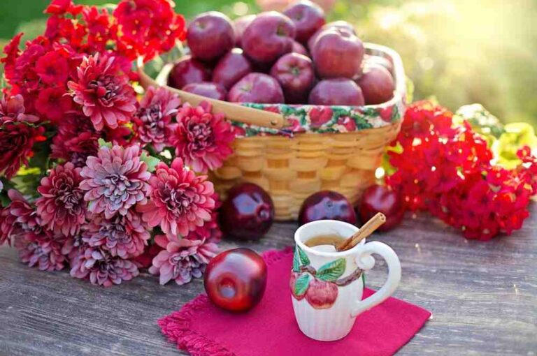 apple cider vinegar gummies benefits