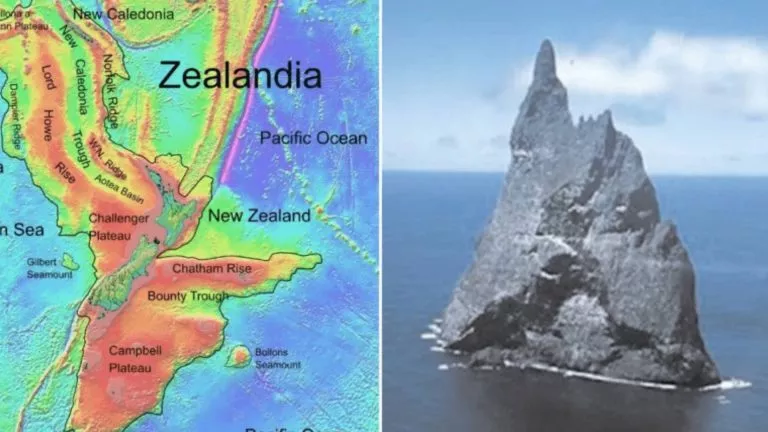 Mystery behind Zealandia, 8th Continent
