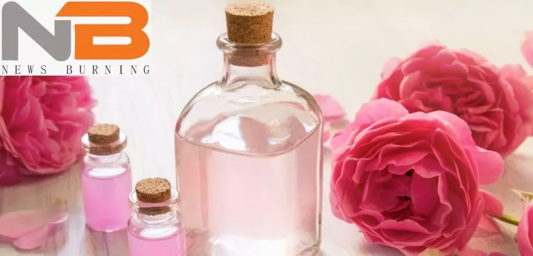 Rose extract secrets-The rose extract closely guarded secrets