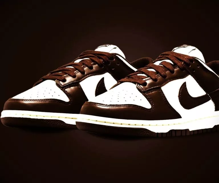 Brown Nike Dunks